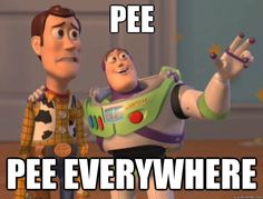 pee-everywhere